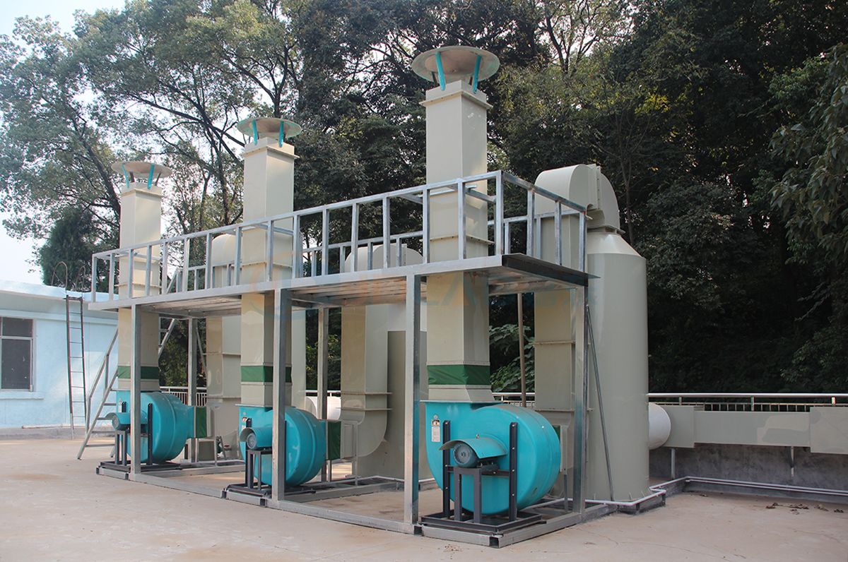 實(shí)景圖展示